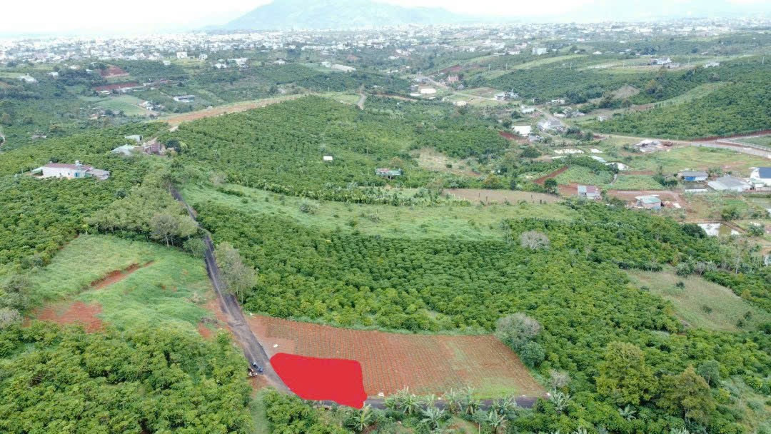 Bán đất góc 2 mặt tiền hẻm 71 Trần Nhật Duật, phường 2 Bảo Lôc