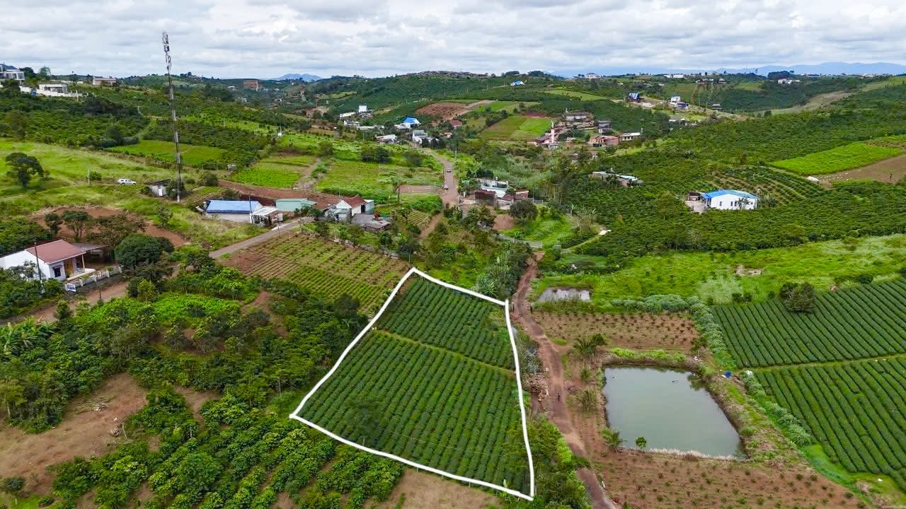 Quá thơm❗️
Bán đất Tôn Thất Thuyết, Dambri, Bảo Lộc