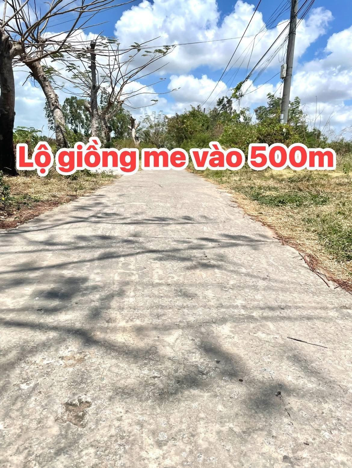 Giá 29 triệu/m ngang. Khóm 6 phường 2 bạc liêu