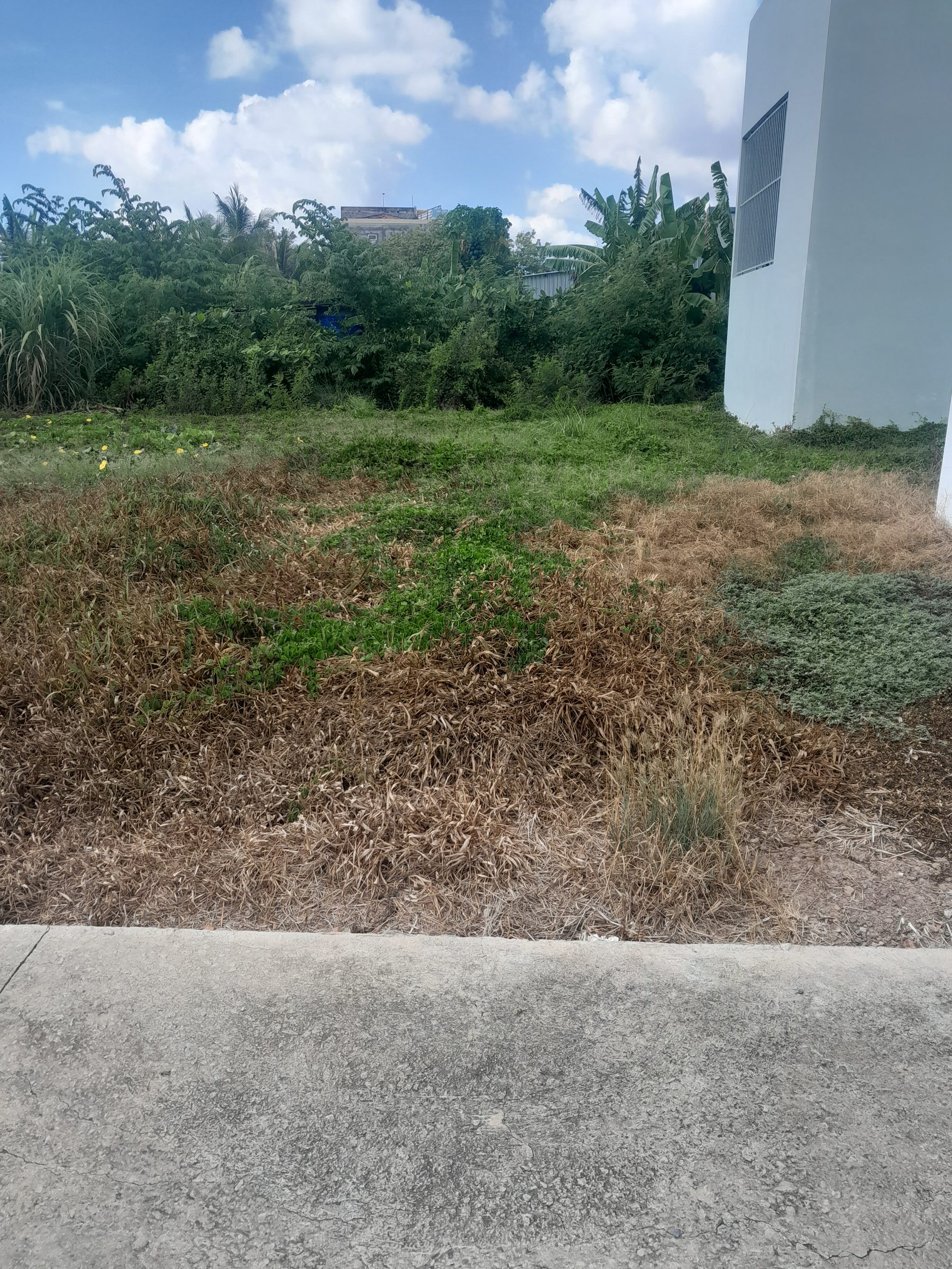 Bán đất thành phố gò công, tiền giang. 98,7m2 (5x19,7m), đan xe hơi, ngay trung tâm, 850tr có sổ