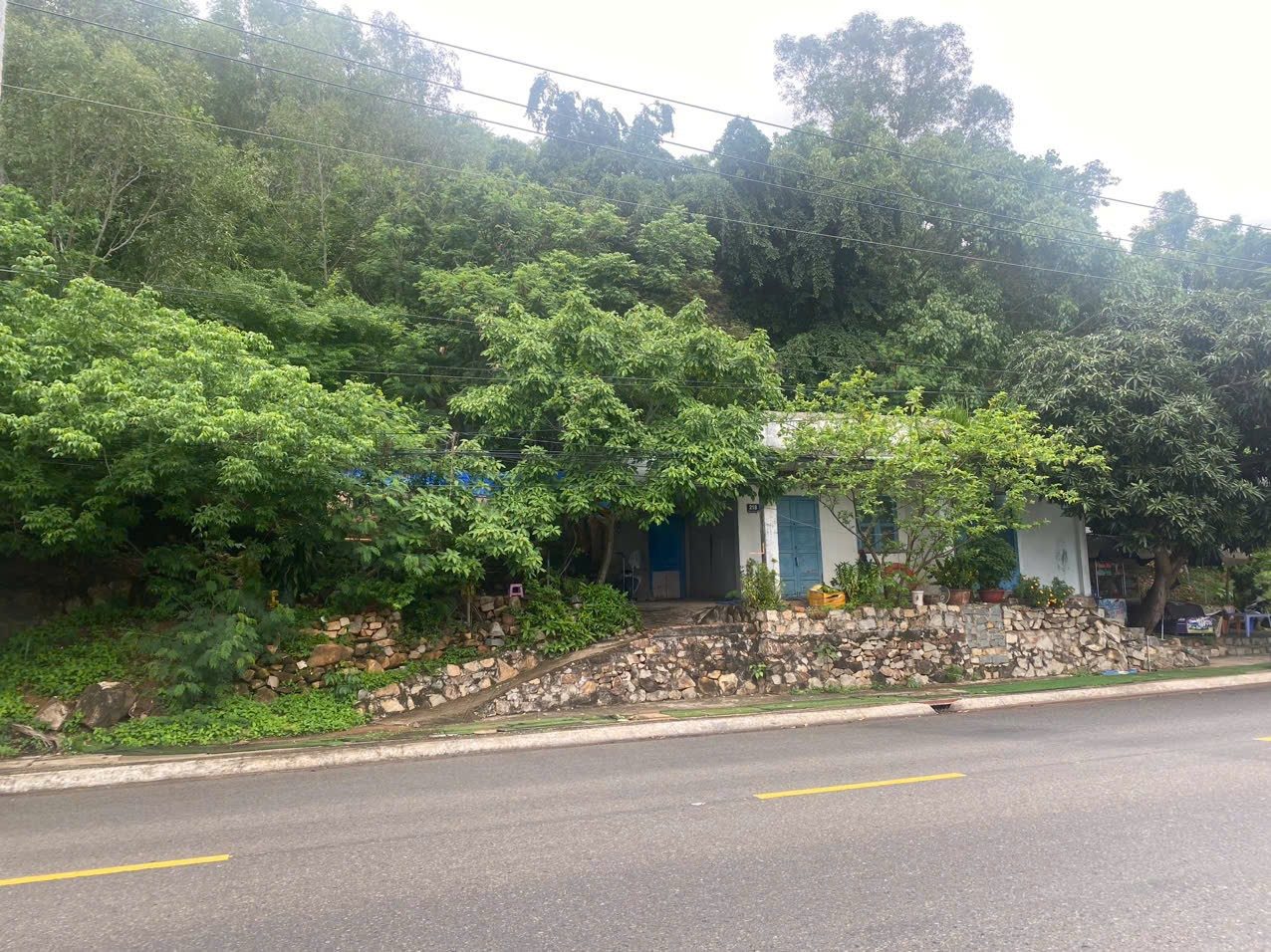 🔥 BÁN ĐẤT TẶNG NHÀ CŨ MẶT TIỀN TRẦN PHÚ, P5, TP. VŨNG TÀU – KHỦNG 1.553M² LƯNG TỰA NÚI MẶT HƯỚNG BIỂN – GIÁ ĐẦU TƯ CHỈ 40 TRIỆU/M²