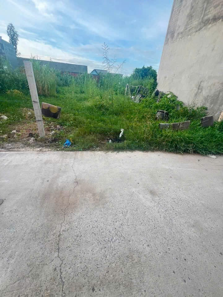 Bán Đất 300m2 có sẵn 100 m2 thổ cư giá 6 tỷ tại - Chọn - Phường 6 Thành phố Cao Lãnh Đồng Tháp