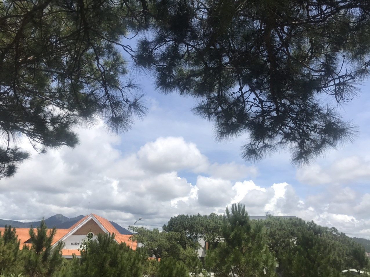 2 Lô Đất Biệt Thự Đồi Huy Hoàng, Đà Lạt, 931m² và 1.236m² Full Thổ Cư