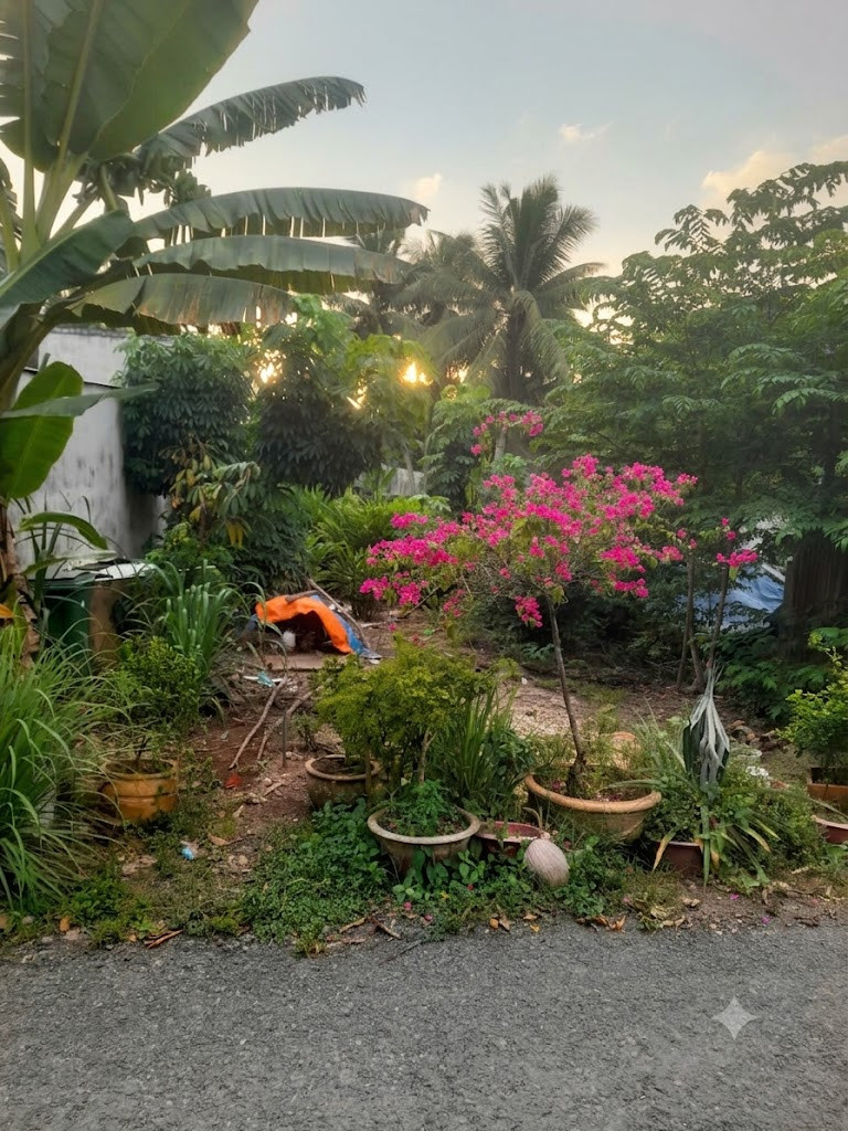 VL1-113 | 📐 316,6m² | 🧭 Đông | 💰 14 triệu/m²