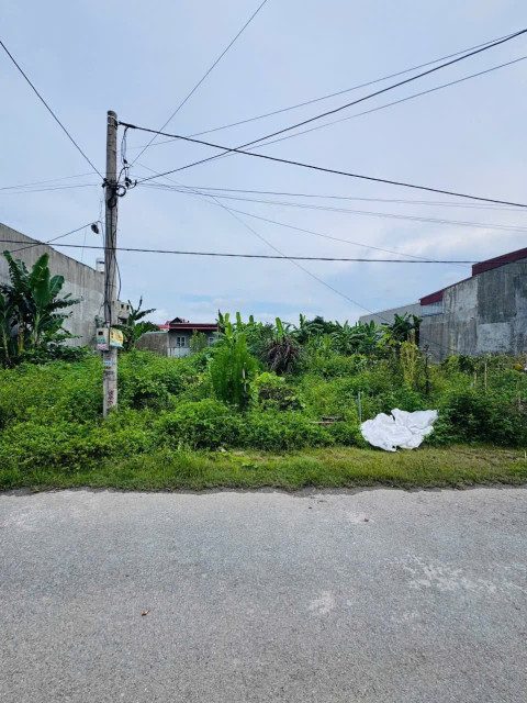 Bán đất 116m² ngang 5,1m. đường nội bộ 8m . giá 2.43 tỷ Phường An Dương. liên hệ 0362558882