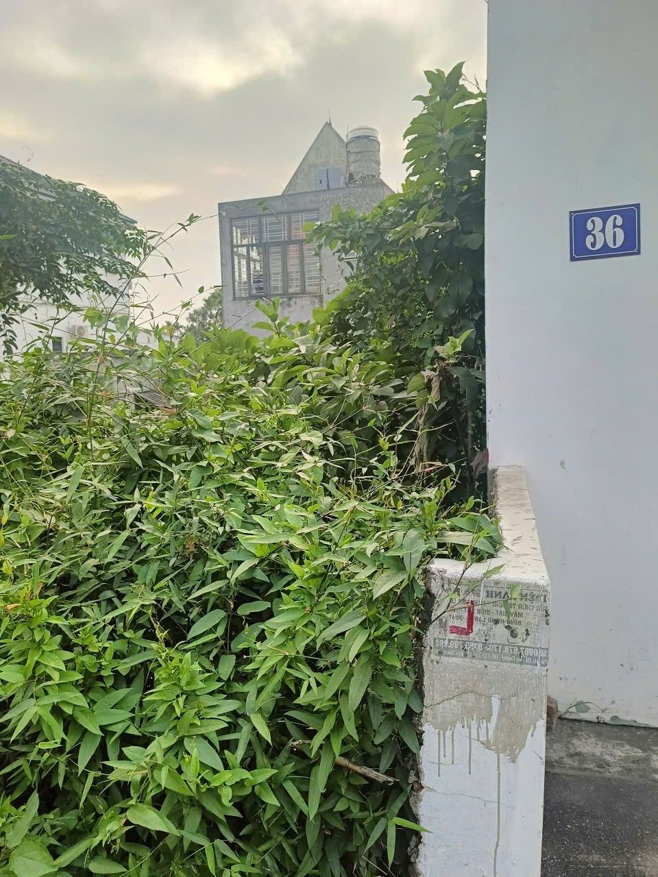 03/12/2025. bán lô đất 75,6m2. mặt tiền 4,5m. đường nhựa 7m. giá 2,15 tỷ. Tân Tiến. liên hệ 0362558882