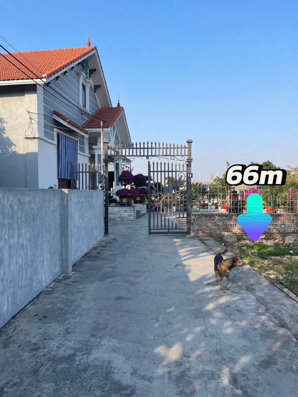 12/02/2026.Bán đất 66m² full thổ cư ngang 4m giá 1.2x tỷ tại Phường An Dương. Đặng Cương. liên hệ 0362558882