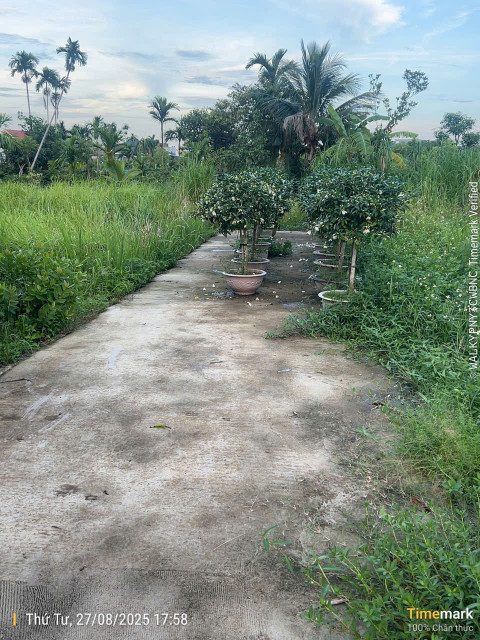 X Bán đất 69.7m² ngang 4m giá 1.08 tỷ Phường An Hải(Hồng Thái). liên hệ 0362558882