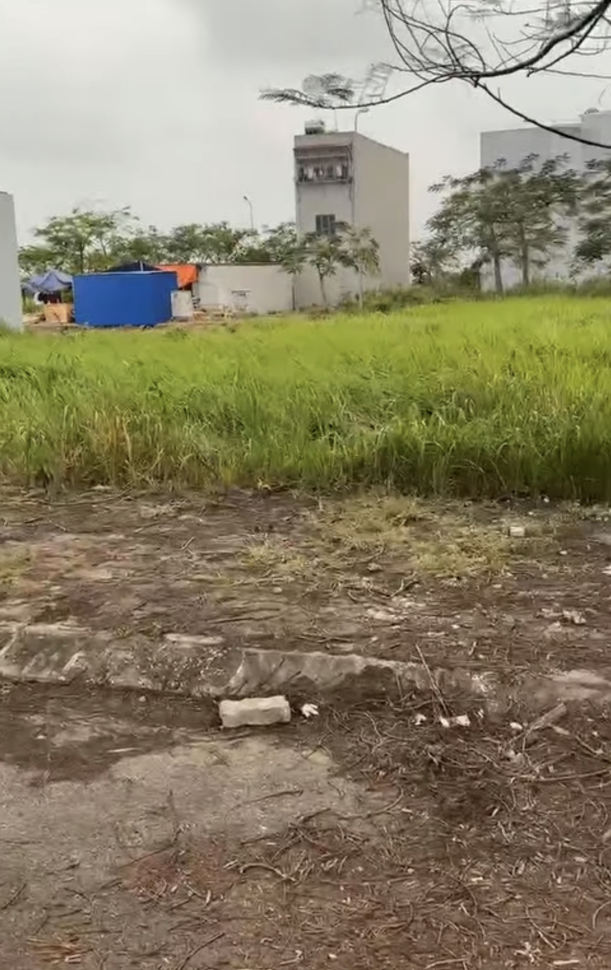 Bán Đất 81m²  giá 3.6 tỷ tại TĐC Bạch Mai Phường An Hải Hải Phòng