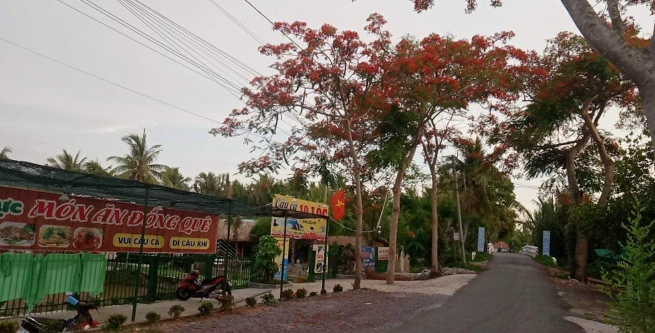 Bán đất 2500m² ngang 56m giá 6.78 tỷ tại Phường An Hội