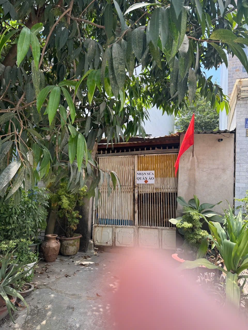 BÁN ĐẤT TẶNG NHÀ MẶT TIỀN BÙI TƯ TOÀN – 88M2 -GIÁ CHỈ 6TỶ8 TL NHẸ