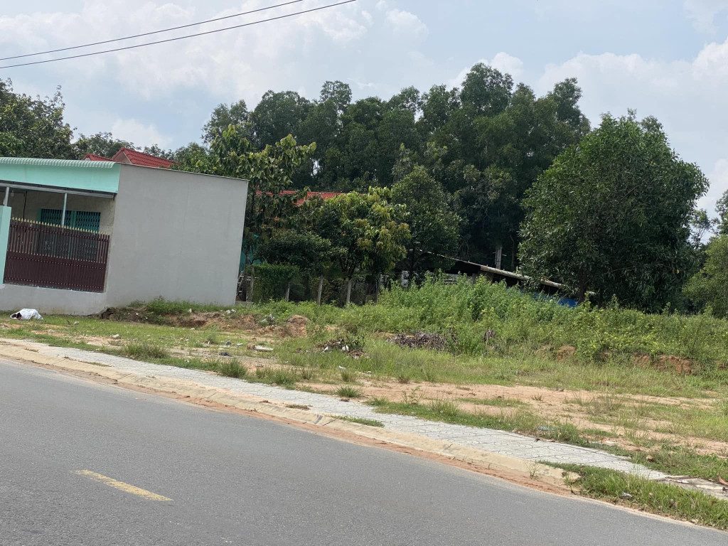 0909 044 186. kẹt tiền bán gấp 1470m2 đất gần chợ trường học, hcn dân cư đông cách đường lớn 100m giá 385tr/nền