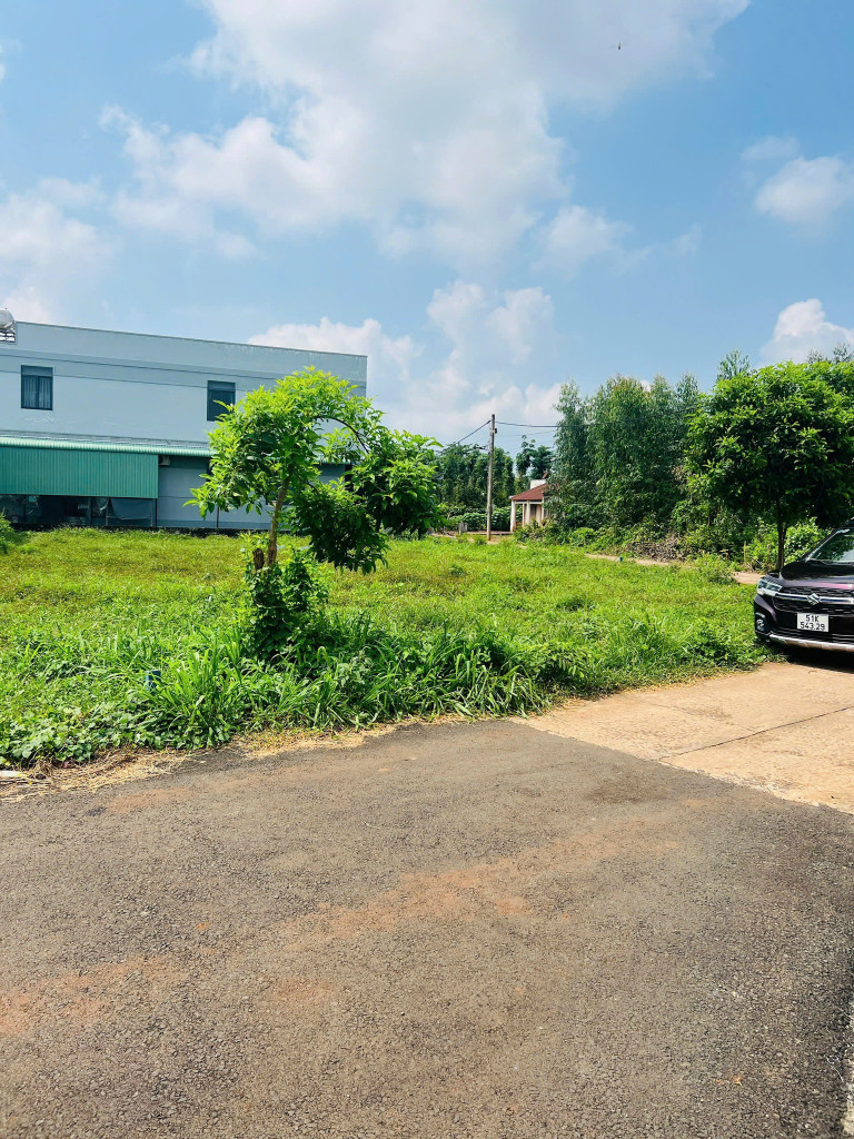 lh: 0909 044 186. chính chủ bán gấp 1470m2 có 700m2 thổ cư giá 290tr/lô. sổ hồng bao sang tên, gần chợ, trường học, anh chị quan tâm vui lòng liên hệ tôi tên Tuấn