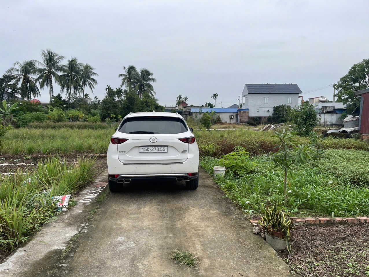 17/11/2025.Bán đất 60m² ngang 4,45m giá 880 triệu Phường An Phong( Đại Bản). liên hệ 0362558882
