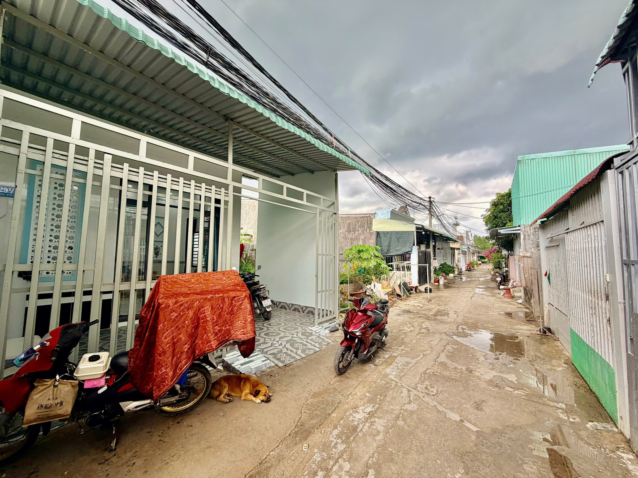 Tìm chủ nhân cho căn nhà 3 phòng ngủ - Hẻm Nguyễn Thị Tạo (gần Cầu Rạch Súc)