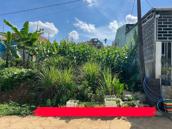 🔥 GIÁ RẺ NHẤT KHU VỰC – ĐẤT GẦN BỆNH VIỆN MỚI BẢO LỘC 🔥