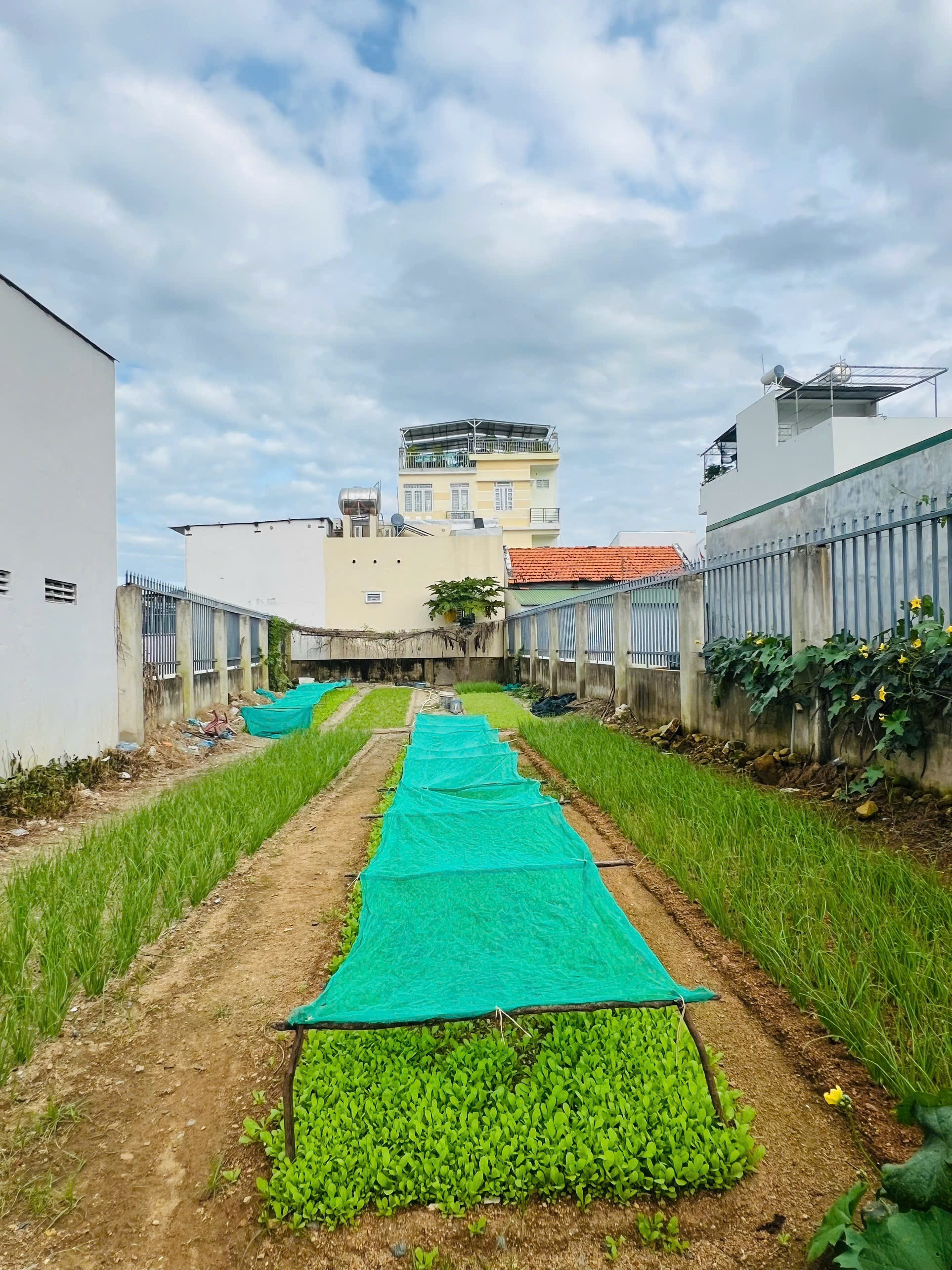 Bán đất 258.5m² giá 9.25 tỷ Phường Bắc Nha Trang