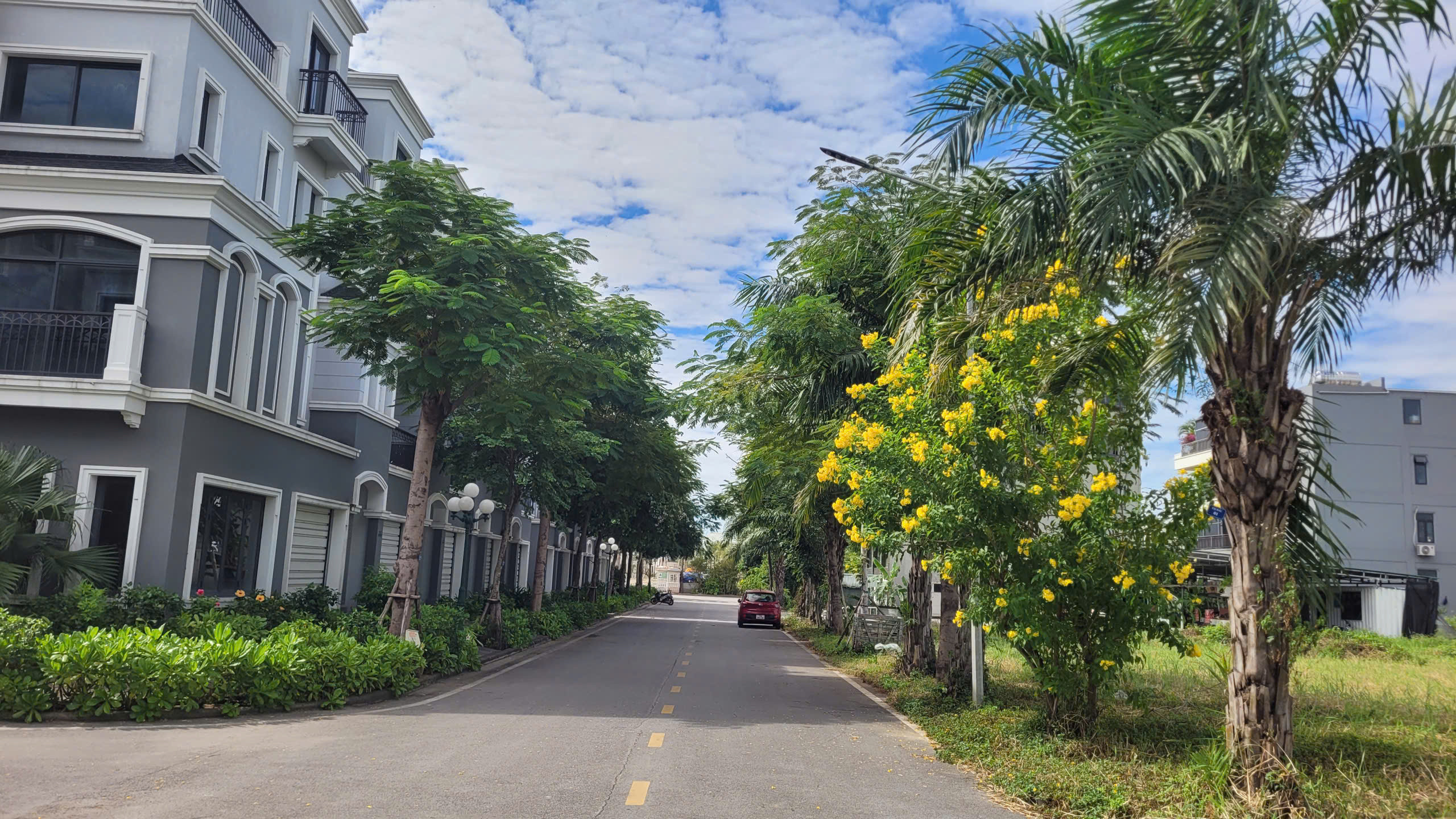 Bán đất biệt thự liền kề trung tâm Bãi Cháy