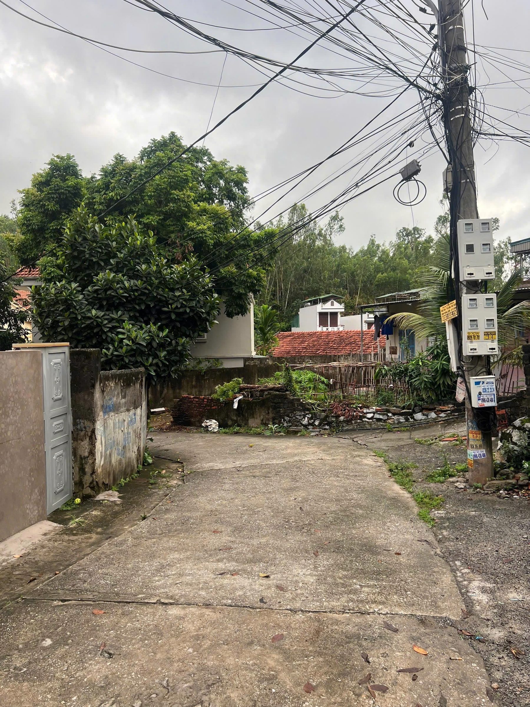 Bán đất 240m² có sẵn 120m² thổ cư ngang 12m giá 11.8 tỷ tại Phường Bãi Cháy
