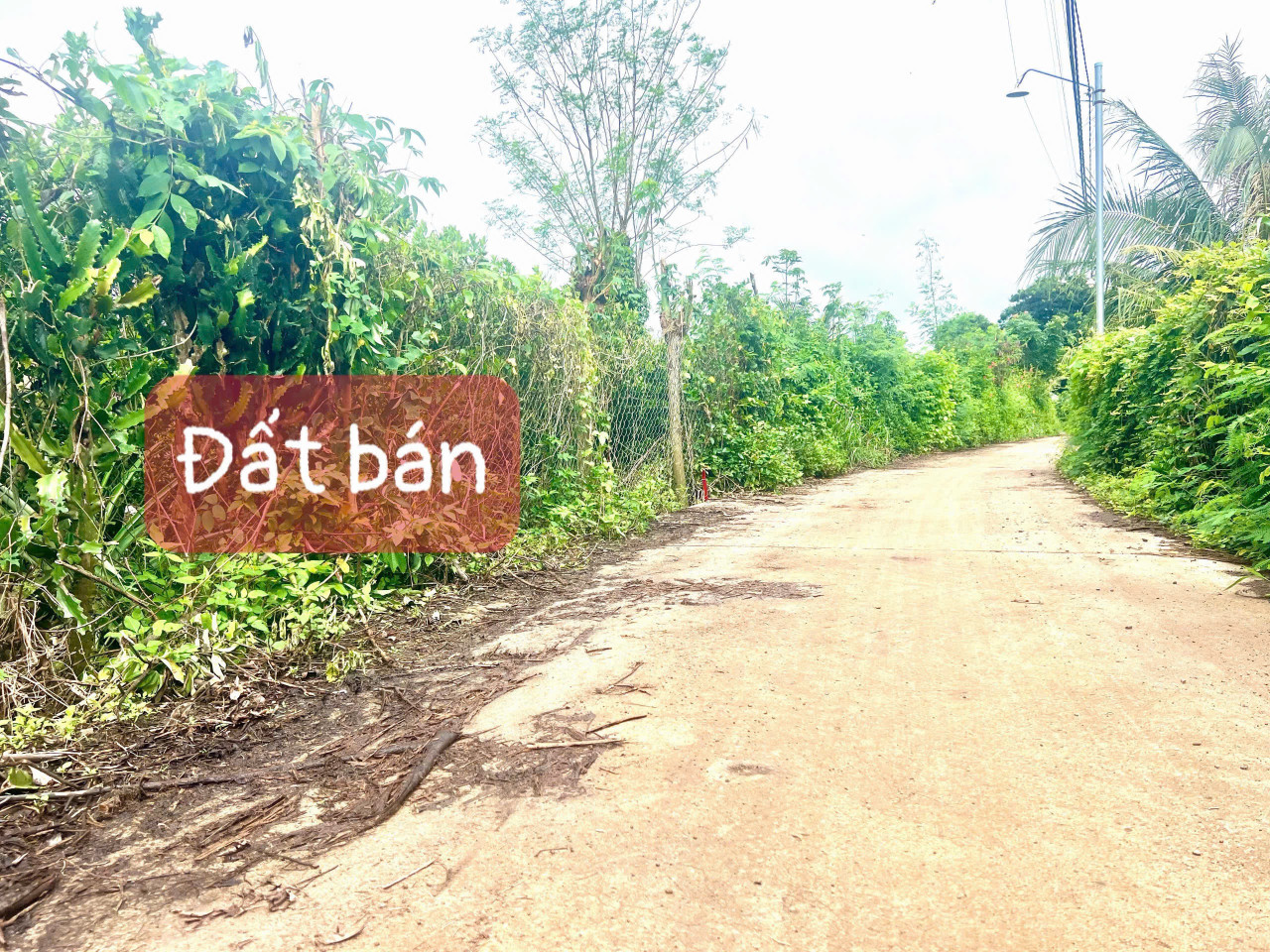 Bán đất 530m² giá 820 triệu Phường Bảo Vinh
