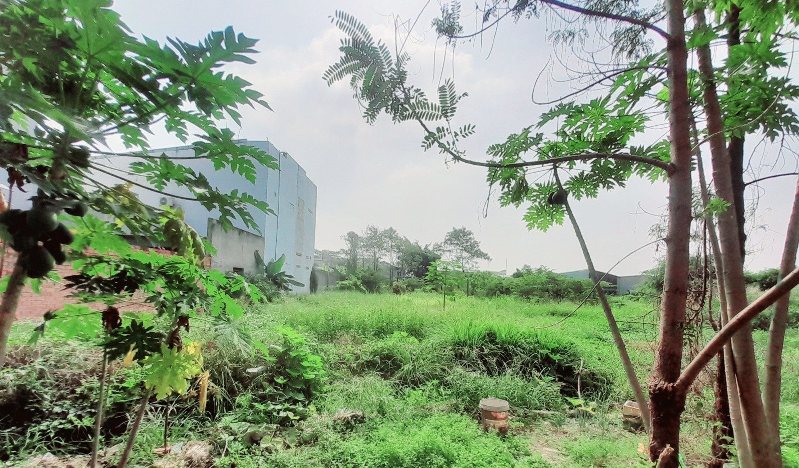 1992m đất 50tỷ phường Bình Chiểu - hẻm ô tô - sổ riêng- không quy hoạch