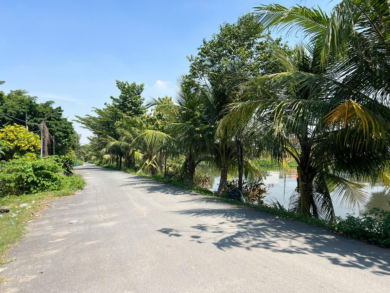 Bán đất 1213.9m² ngang 37m giá 24 tỷ Phường Bình Hòa