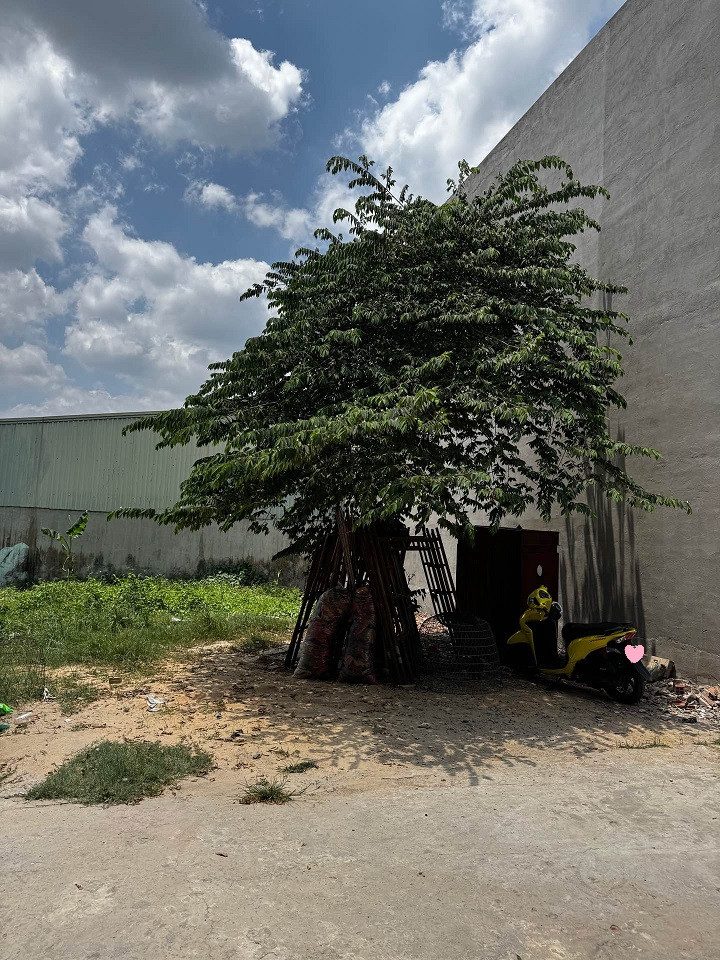 BÁN ĐẤT THỔ CƯ 83M² (5.2x16) HẺM XE TẢI CÂY CÁM, NGAY BẾN LỘI, QL1A, MÃ LÒ, CHỈ HƠN 3TỶ