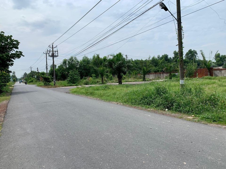 4 LÔ CẦN BÁN GẤP 20X50=1000M2 TC SHR NGAY CHỢ ĐƯỜNG 18M GIÁ 290TR/s