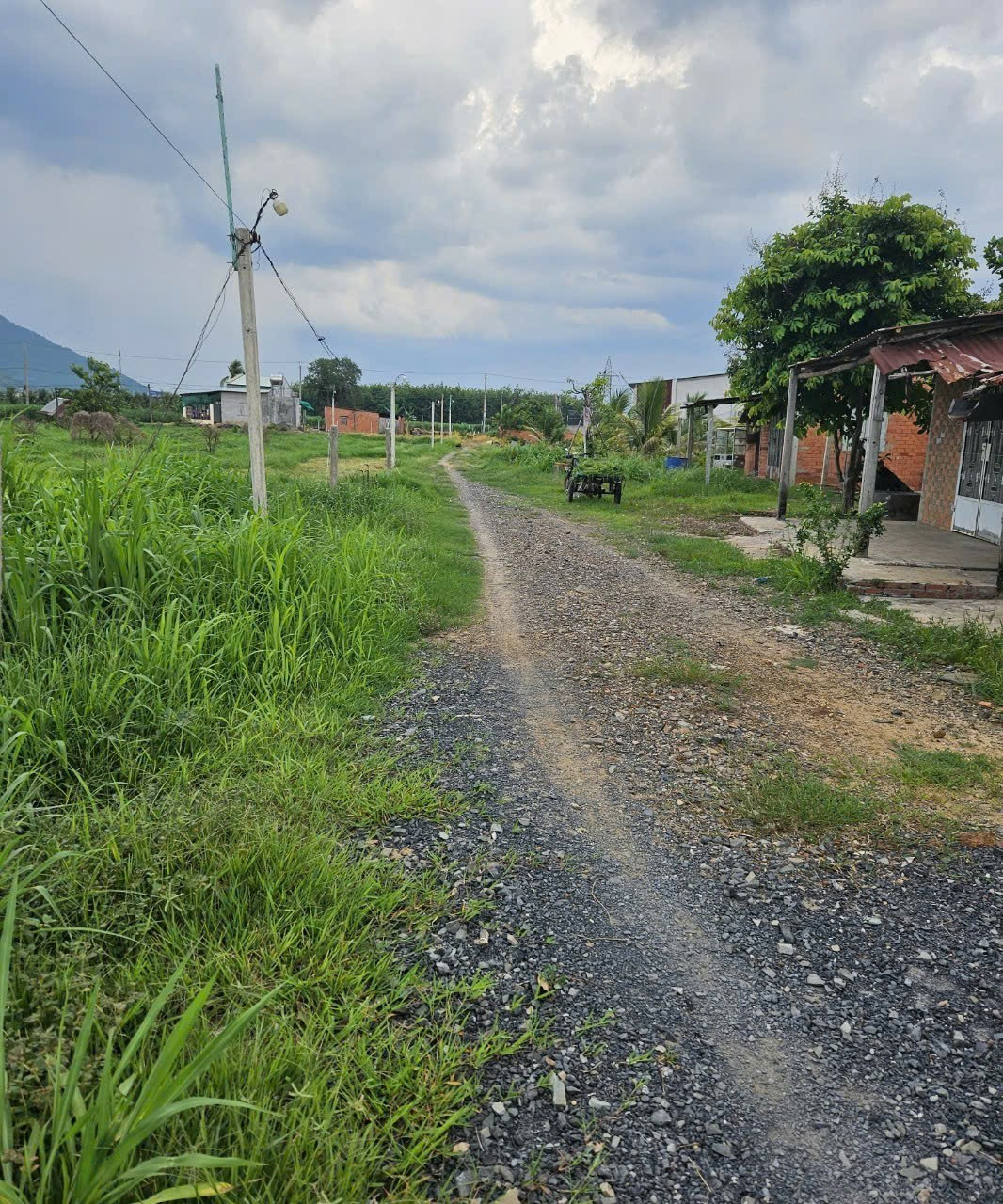 Bán đất 6100m² ngang 140m giá 5.8 tỷ Phường Bình Minh