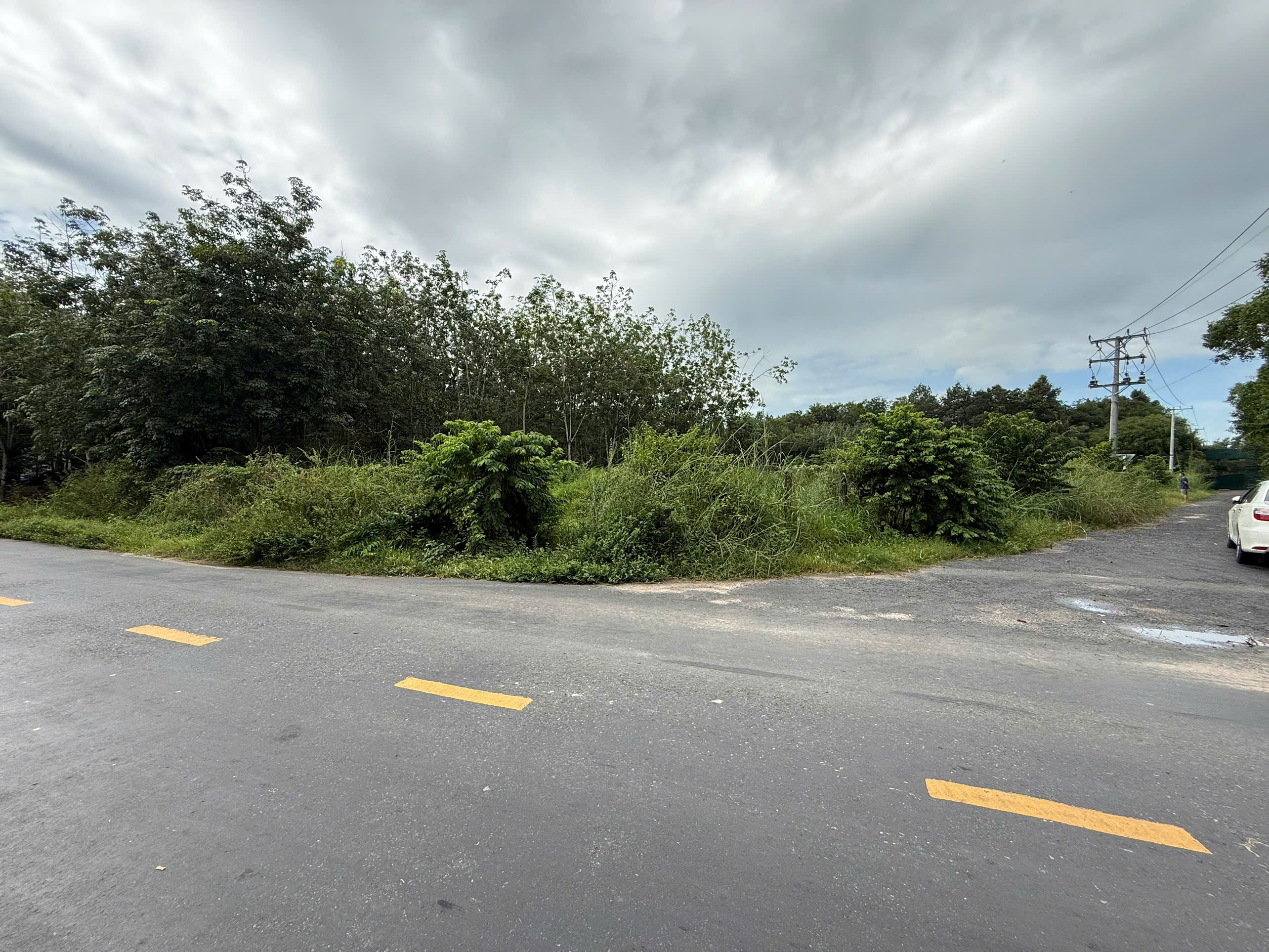 Bán đất 647m² ngang 20m giá 3 tỷ Phường Bình Minh