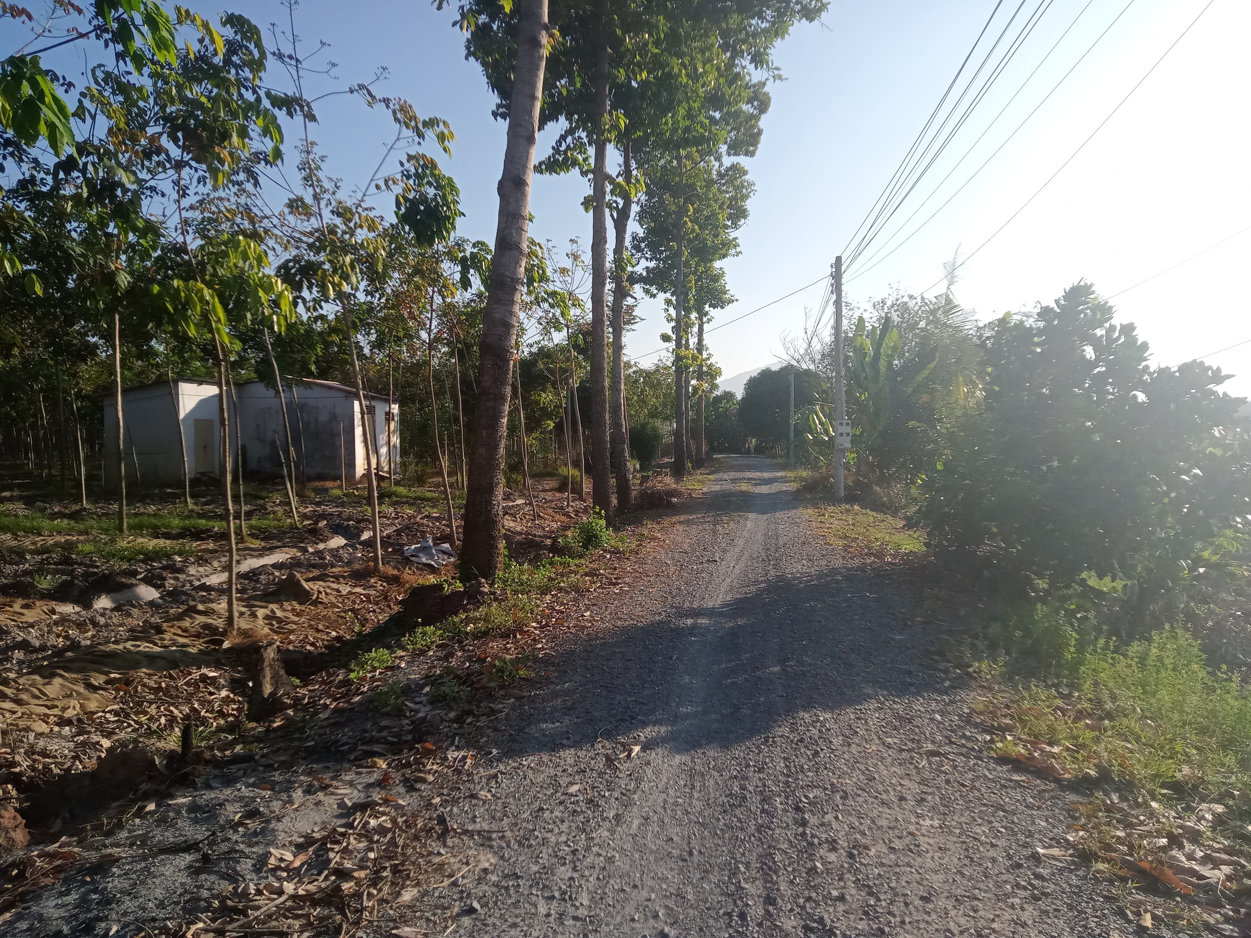 Bán đất 10050m² ngang 210m giá 10 tỷ Phường Bình Minh