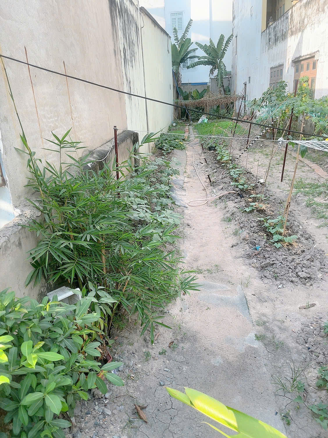 Đất Mặt Tiền Bình Tân - DT: 165m2 (5mx33m) - Khu Xây Cao Tầng - Ngộp Bank Hơn 6 Tỷ Chủ Gấp Bán