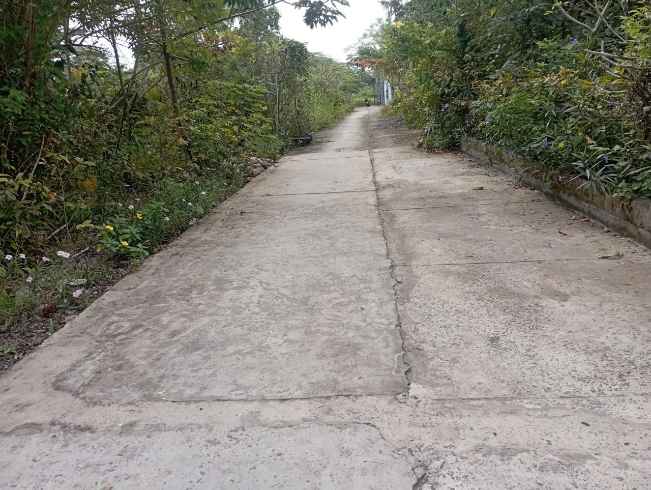 Đất full thổ cư, ngang 10m trung tâm Bình Thủy, Tp. Cần Thơ