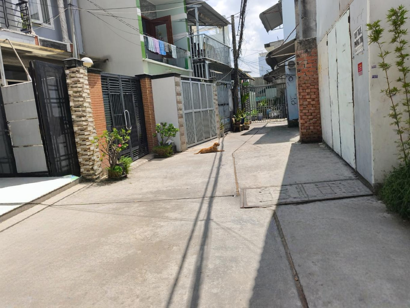 BÁN NHÀ KHU Y TẾ KỸ THUẬT CAO 146M2 8.5 TỶ CHDV 36 TRIỆU THÁNG HẺM XE HƠI BÌNH TÂN