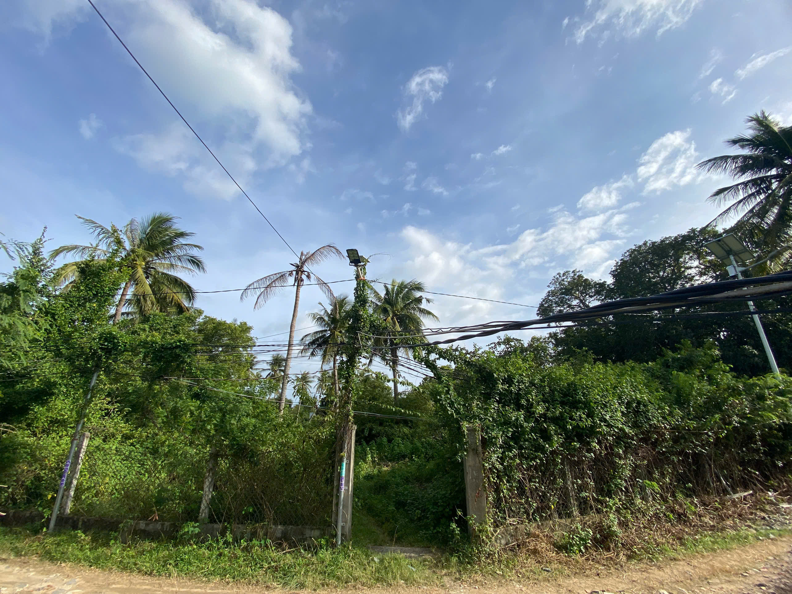 Bán đất 2716.9m² có sẵn 200m² thổ cư ngang 49m giá 9.5 tỷ tại Phường Cam Ranh