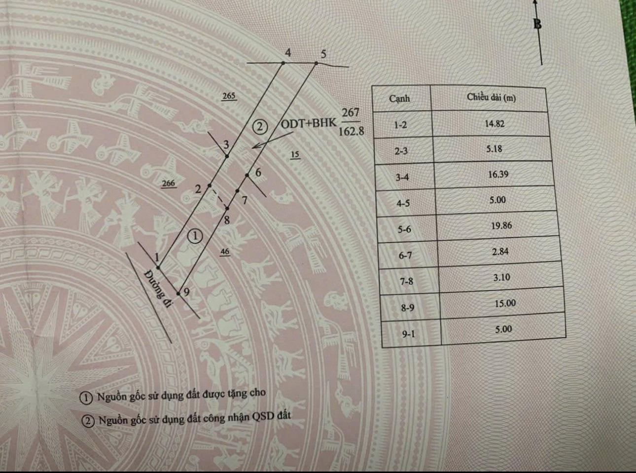 ✅Cần Bán Lô Hẽm Nguyễn Tri Phương