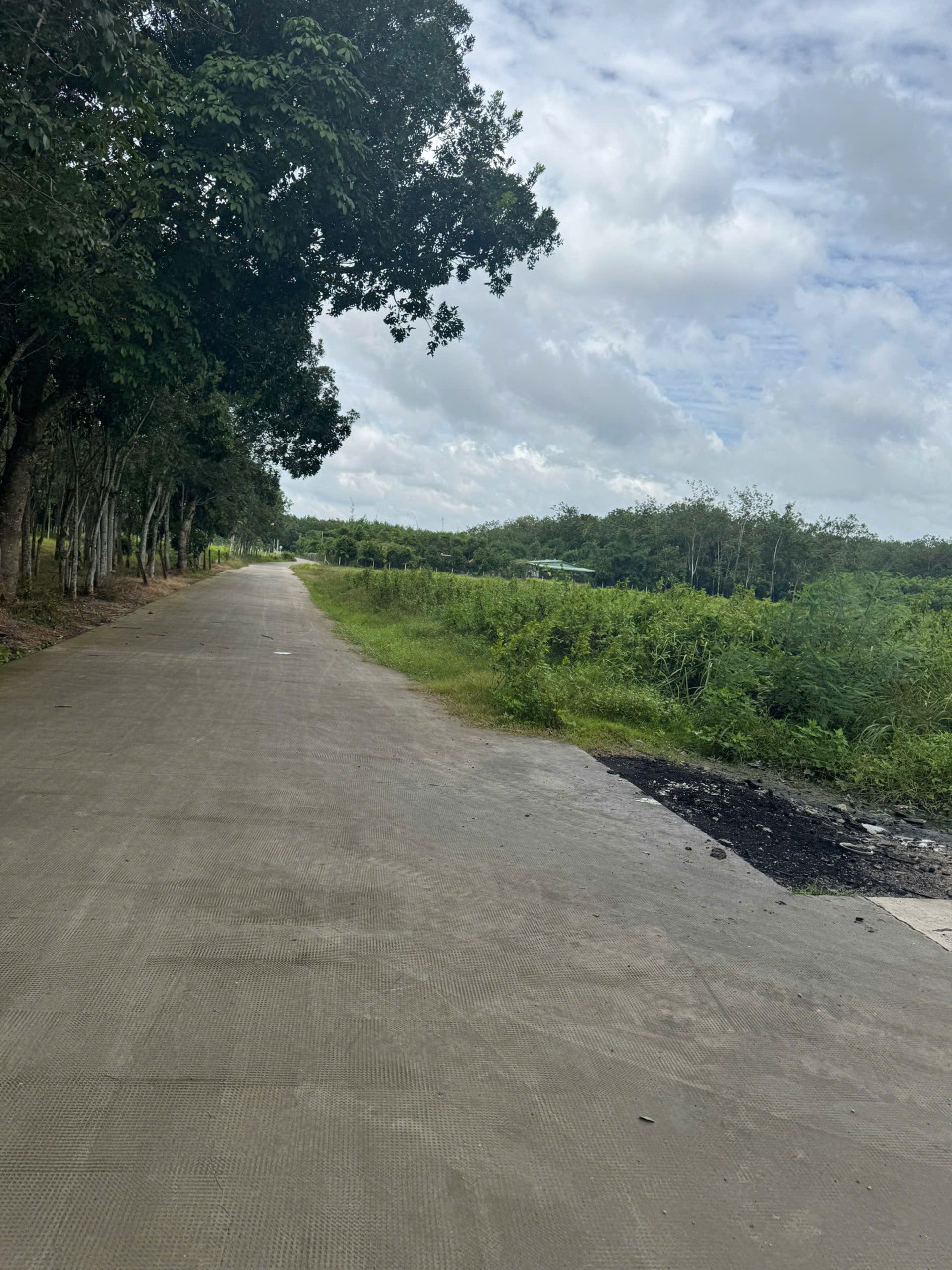 Bán đất 13494.6m² ngang 100m giá 15 tỷ Phường Chánh Phú Hòa