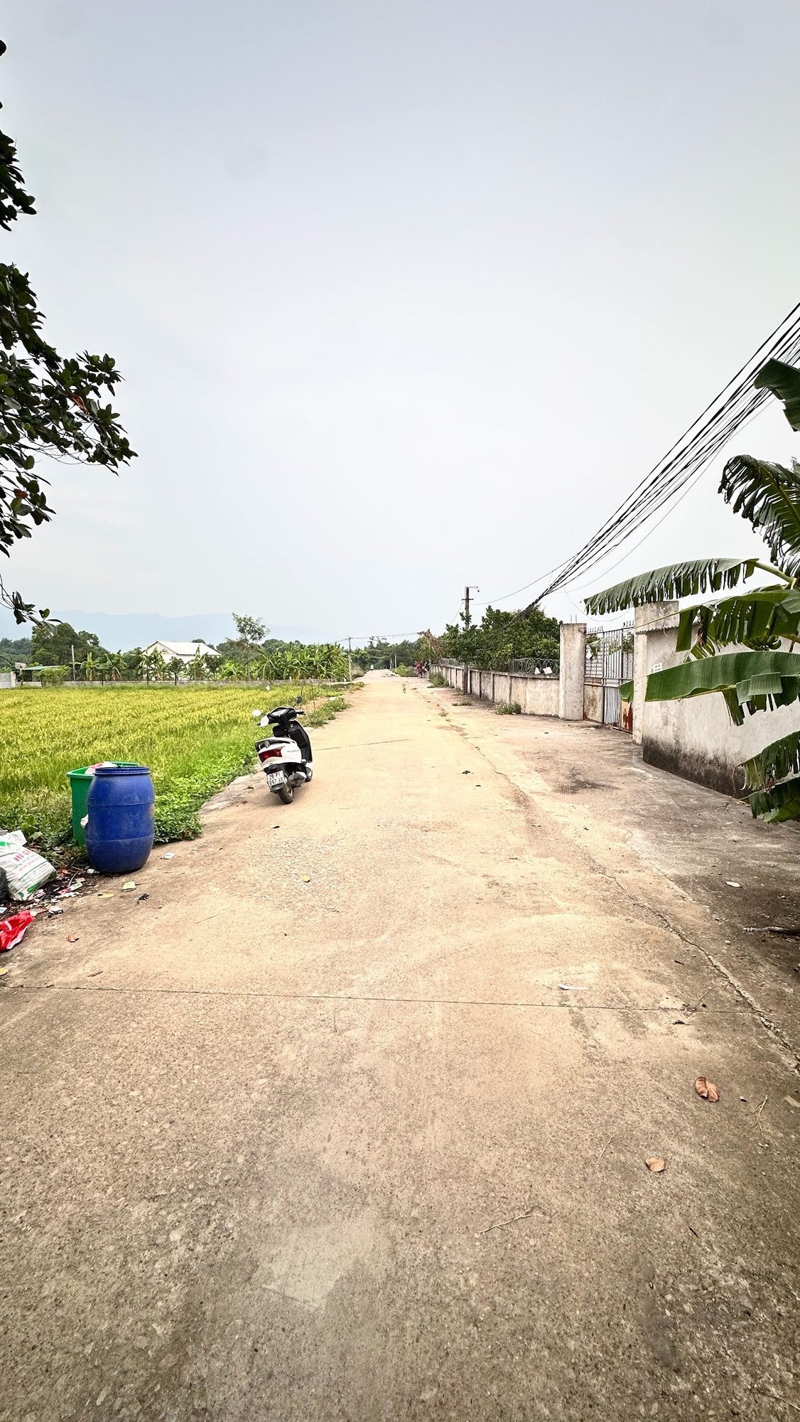 🌿 SIÊU PHẨM NHÀ VƯỜN XUÂN LINH – QUỸ ĐẤT RỘNG 1.100m² – MẶT TIỀN GẦN 29M – CHỈ 12,5 TỶ 🌿