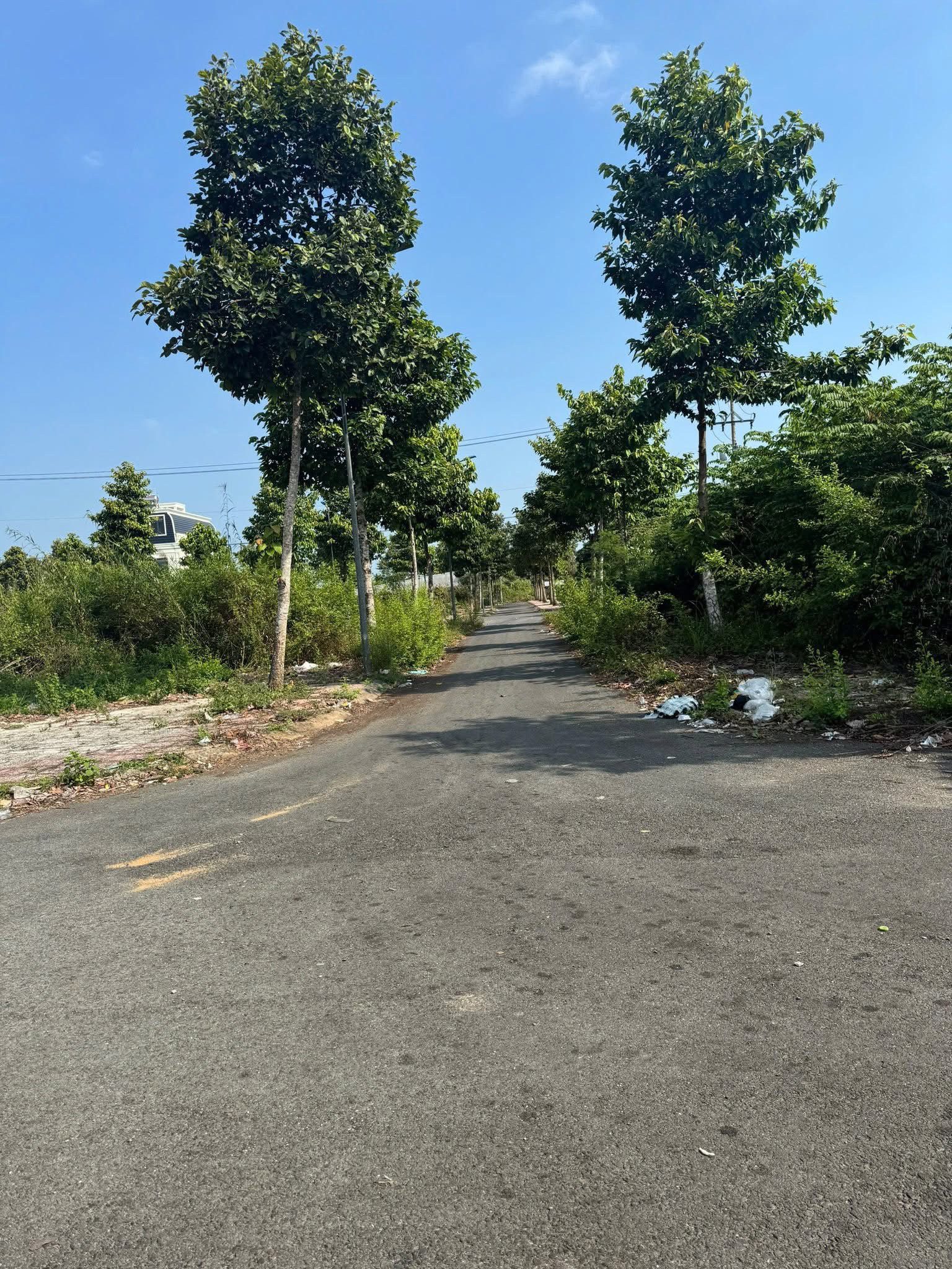 Bán đất nền góc 2 mặt tiền khu dân cư Long Hoà, Đạo Thạnh, Tiền Giang.