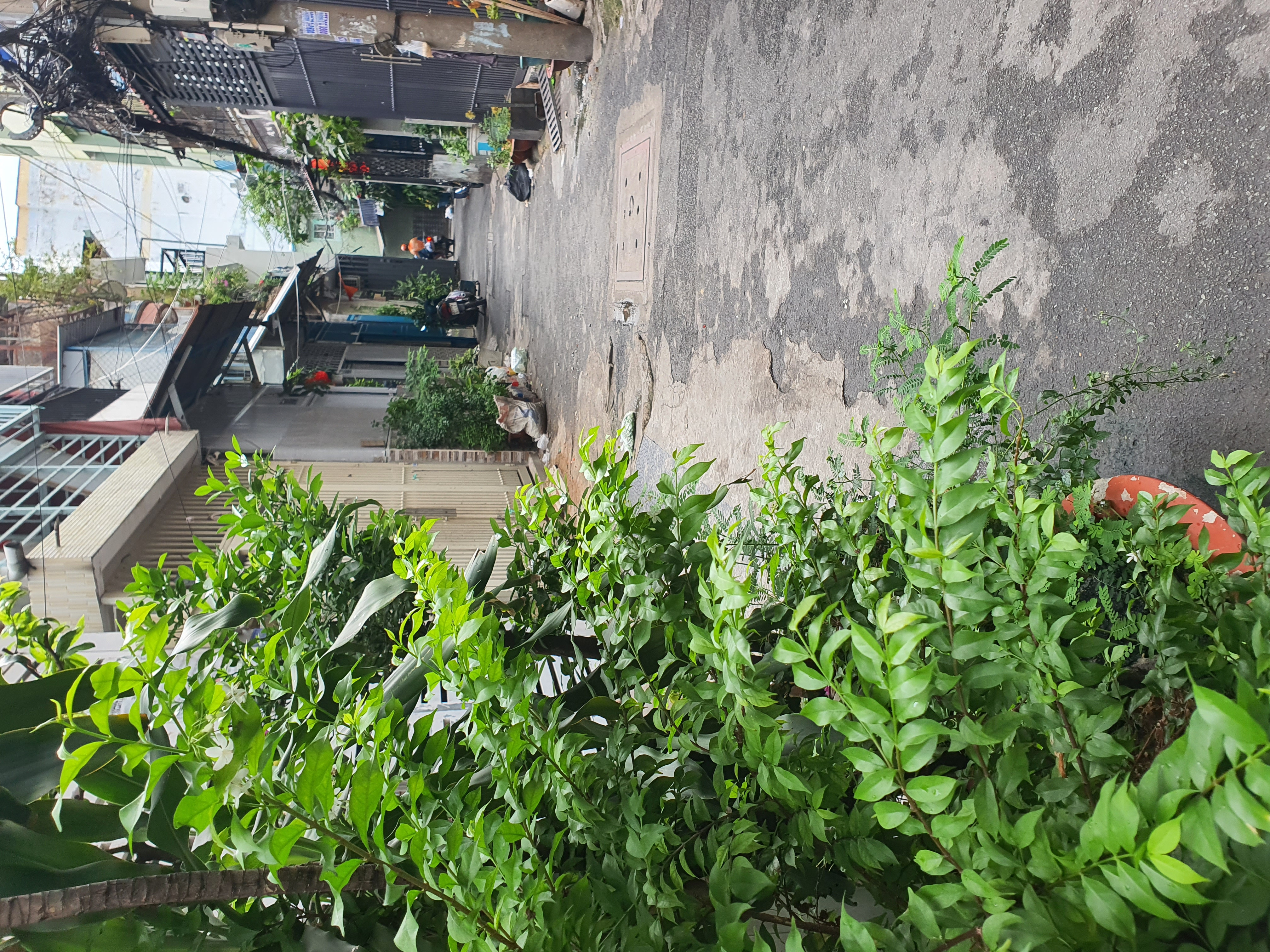 Bán Nhà riêng 27m² thổ cư 27m² giá 4.35 tỷ tại Phường Diên Hồng TP. Hồ Chí Minh
