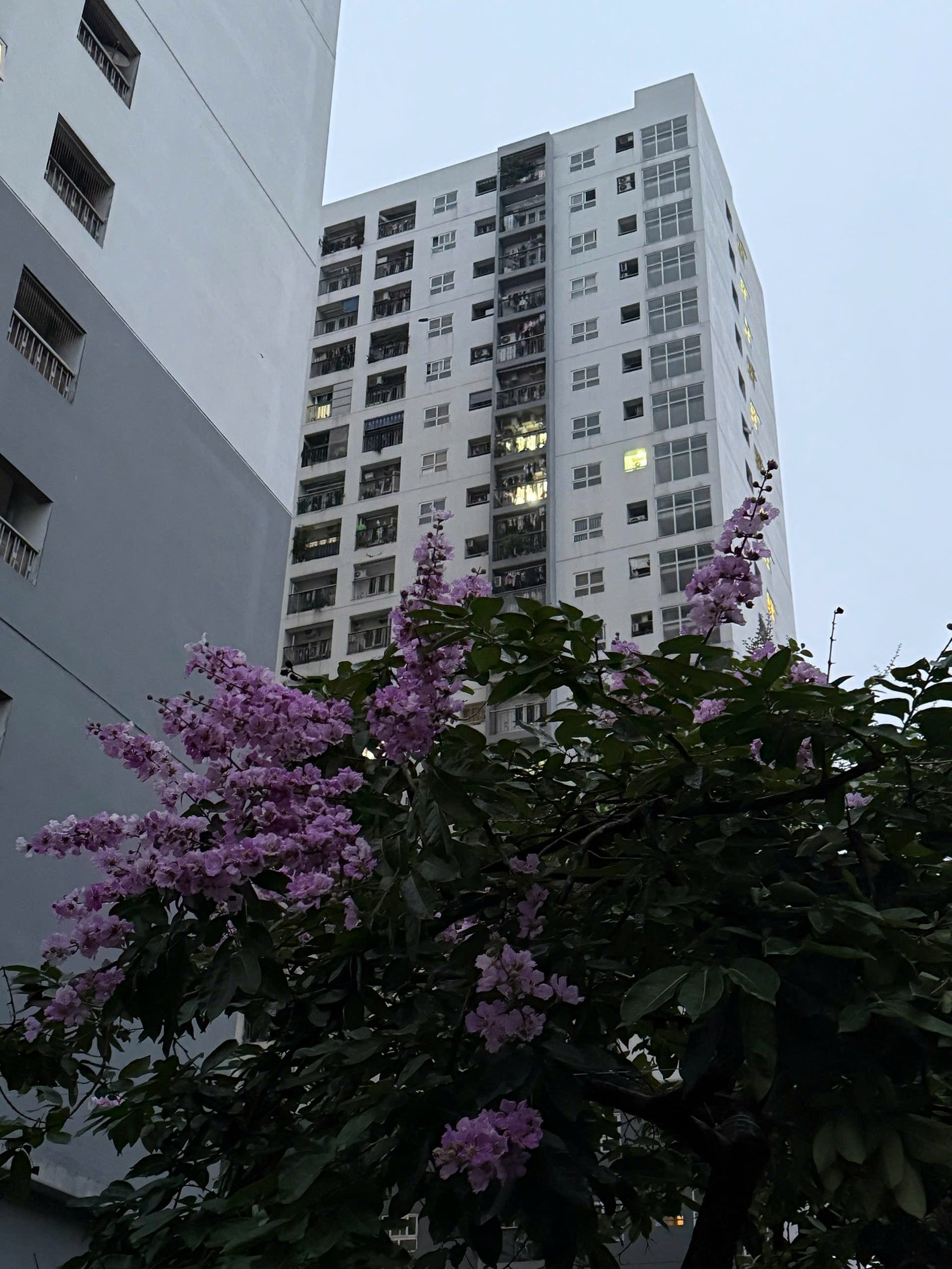 🔥 CC Building View Hồ – Căn 2PN Đẹp Hiếm – Giảm Sốc 450TR Chỉ Còn 5.2 Tỷ!
