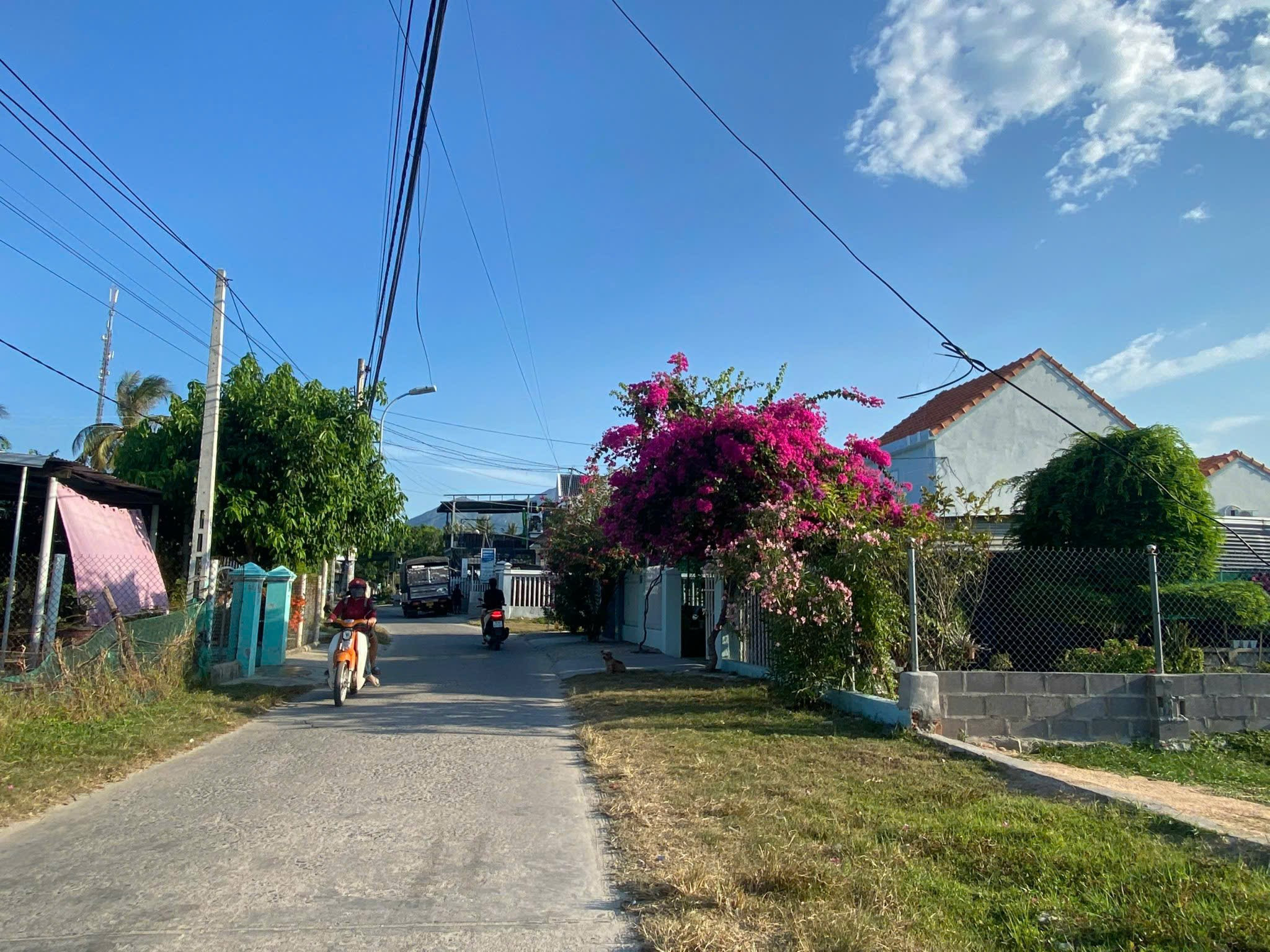 0938113403 Bán đất 176m² có sẵn 100m² thổ cư ngang 6m giá 2.7 tỷ tại Phường Đông Ninh Hòa Z299