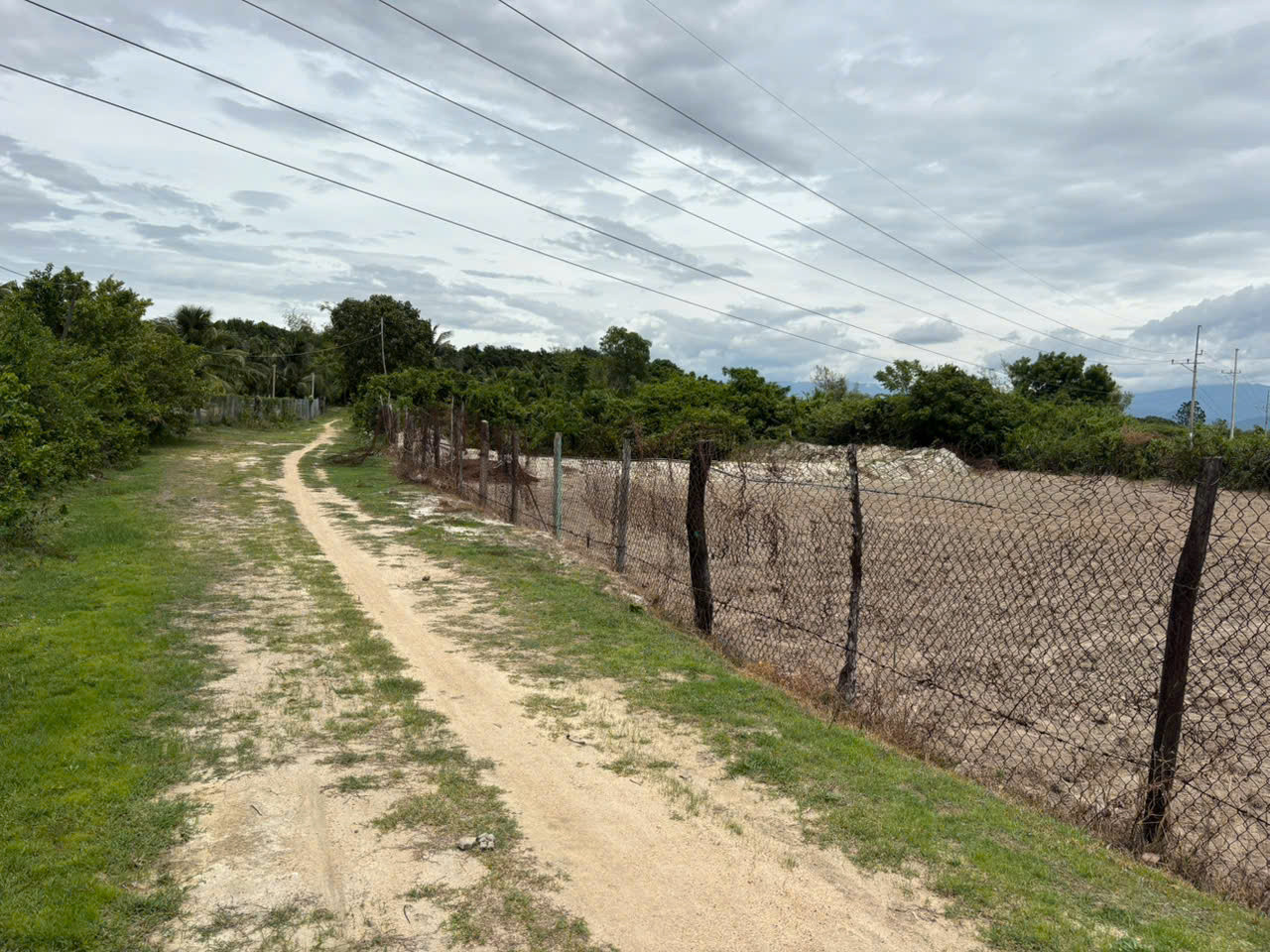 0763615365 Bán đất 2132m² giá 9.6 tỷ Phường Đông Ninh Hòa Z055