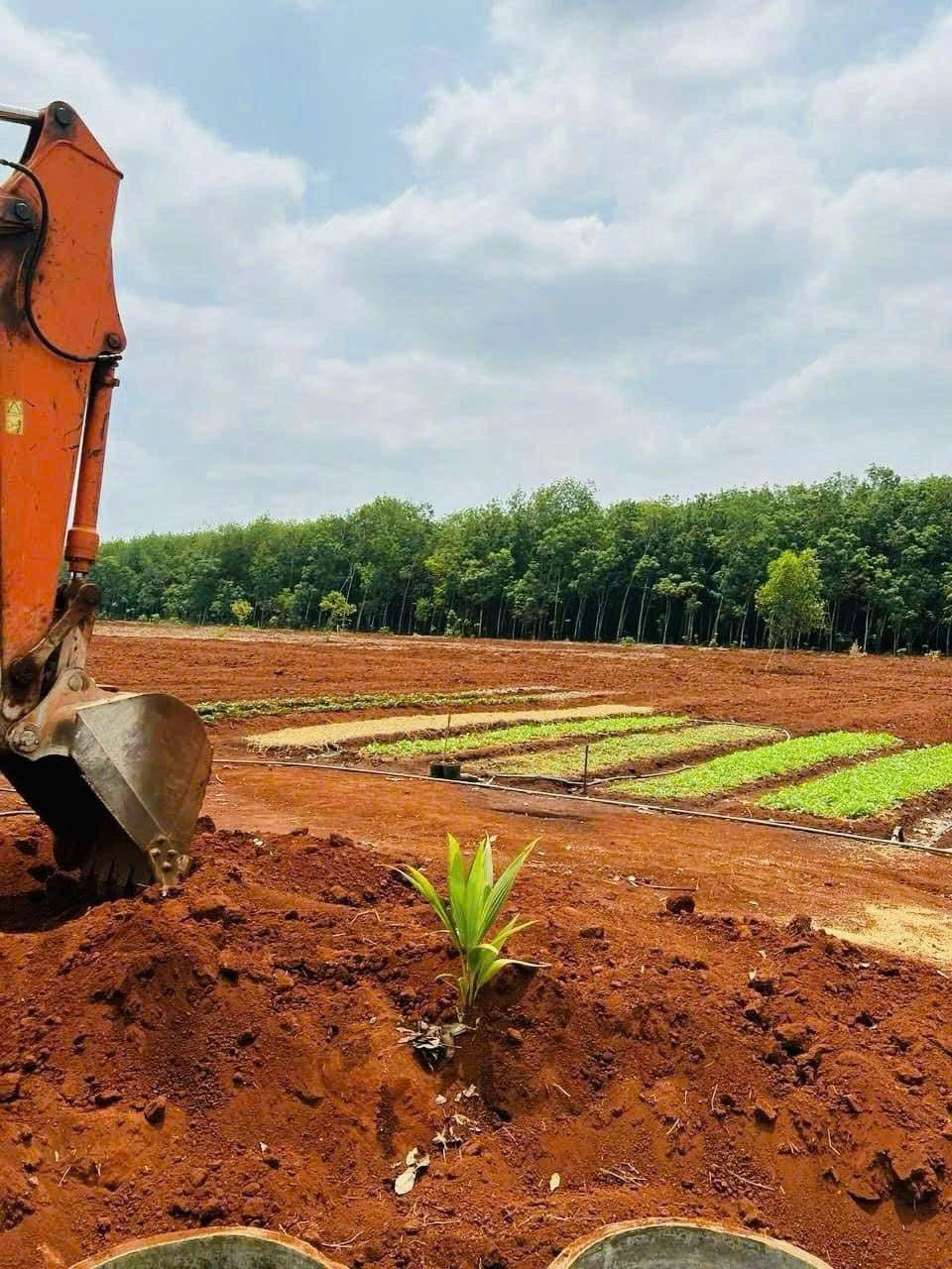 Bán đất 22098.5m² ngang 11m giá 4 tỷ tại Phường Đồng Xoài