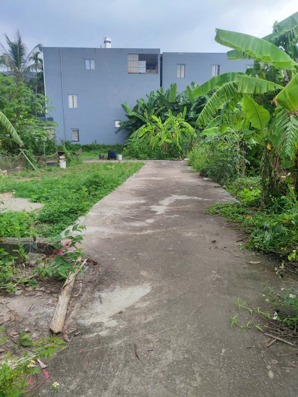 Bán đất ngõ 3m Hòa Nghĩa 56,6m² ngang 4,2m giá 860 triệu Phường Dương Kinh