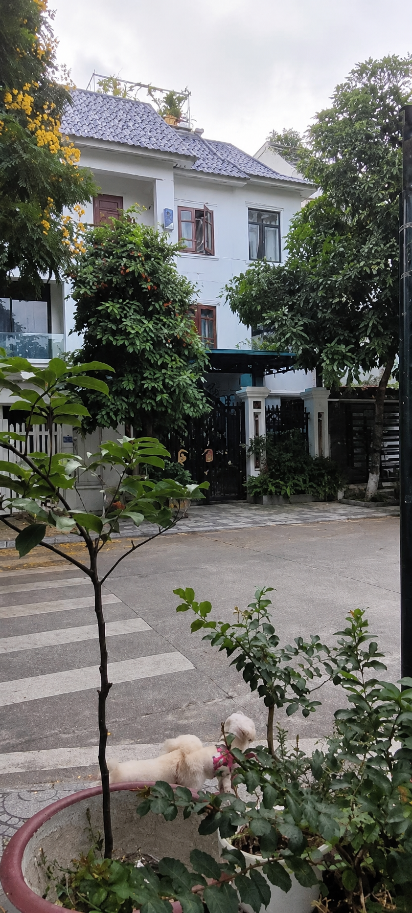 BÁN CĂN LK KHU D GELEXIMCO DƯƠNG NỘI- HÀ ĐÔNG- 120m2-4T-25.5 TỶ