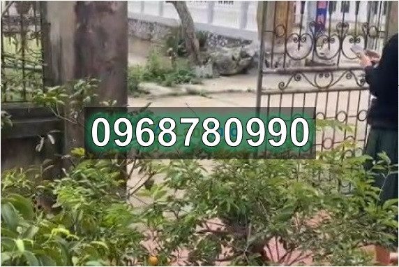 ⭐️CHÍNH CHỦ bán gấp lô đất đẹp tại Châu Giang (Duy Tiên, Hà Nam), nay là P.Duy Tân, Ninh Bình, 0968780990
