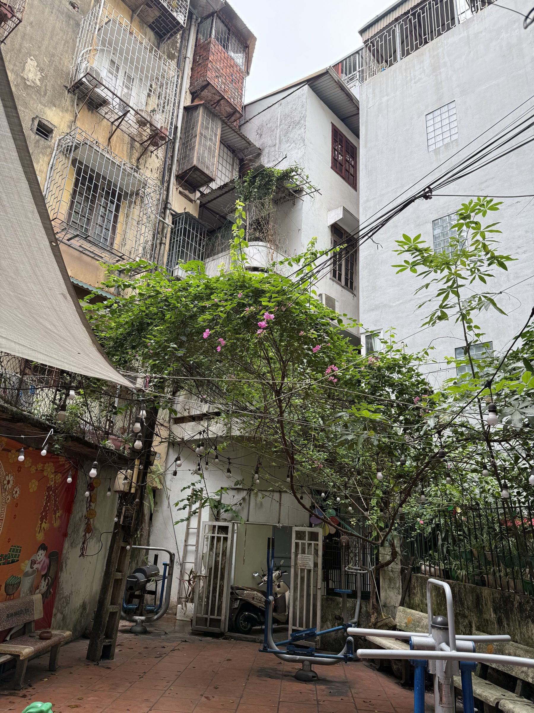 Bán nhà 68m² có sẵn 50m² thổ cư ngang 4.4m giá 16 tỷ tại Đường Núi Trúc Phường Giảng Võ
