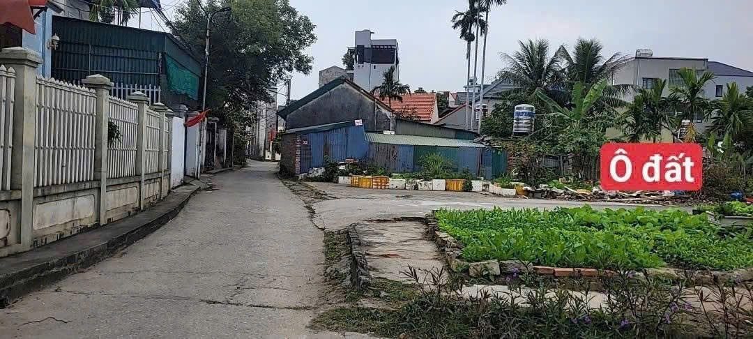 Bán Đất khu 4 Hà Khẩu 
Ngõ 93 đội cấn Giếng Đáy đi vào