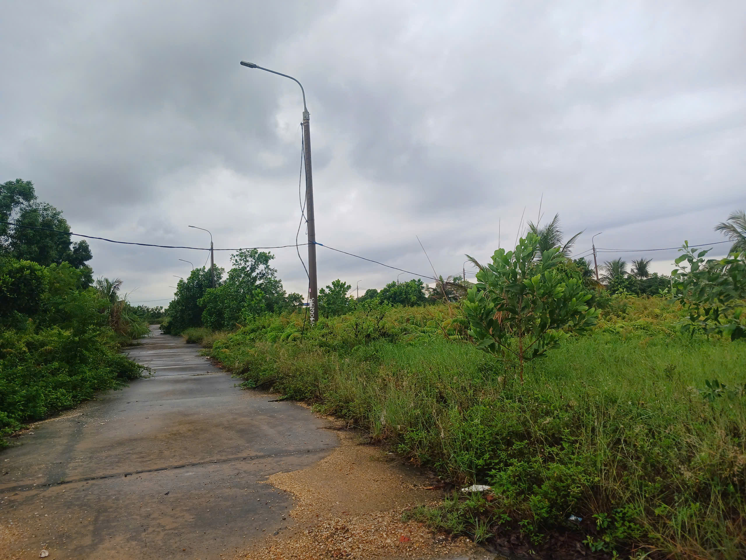 Bán đất Quy Hoạch khu 12 Hà An, cạnh dự án Vinhomes Hạ Long xanh.